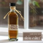 how to make stevia extract